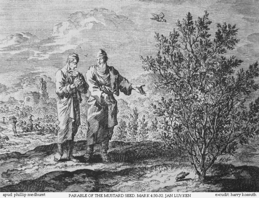 Teachings_of_Jesus_5_of_40._parable_of_the_mustard_seed._Jan_Luyken_etching._Bowyer_Bible.gif