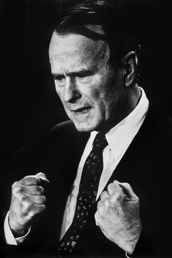 GeorgeBushCrystalBeach.jpg